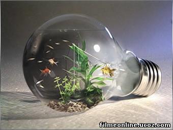 pozee - 5264426051.jpg